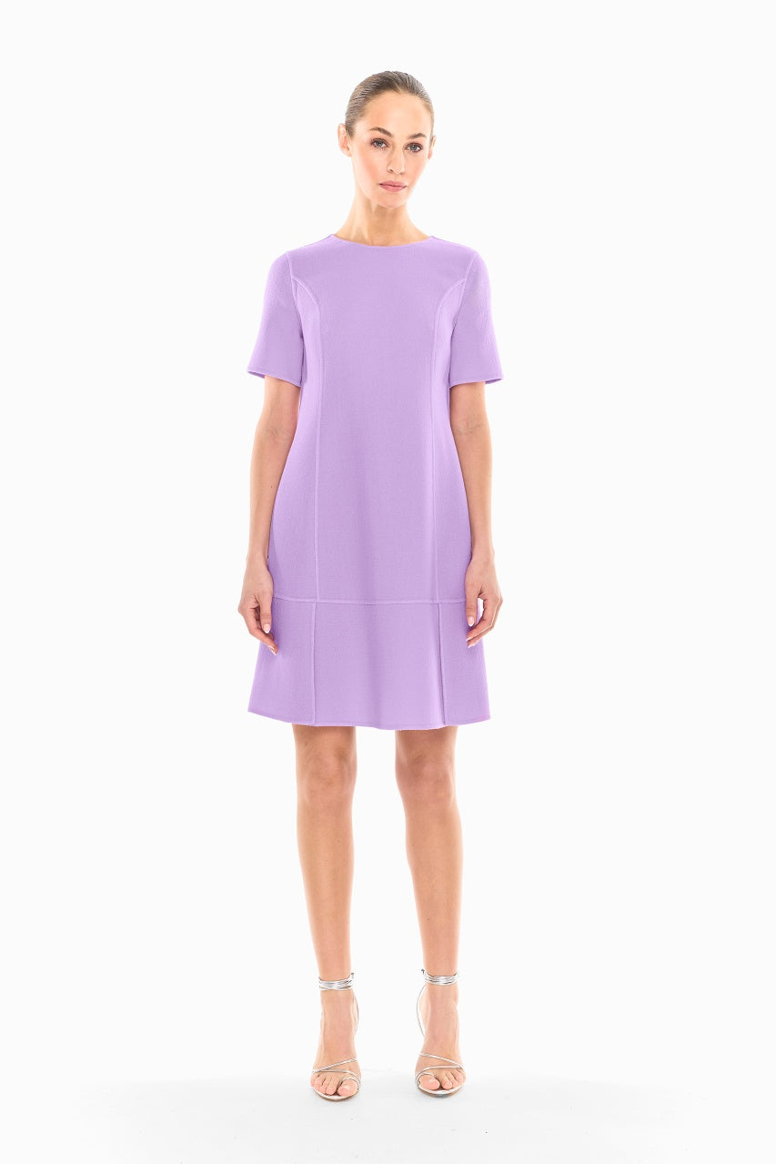 Serena Dress image 0