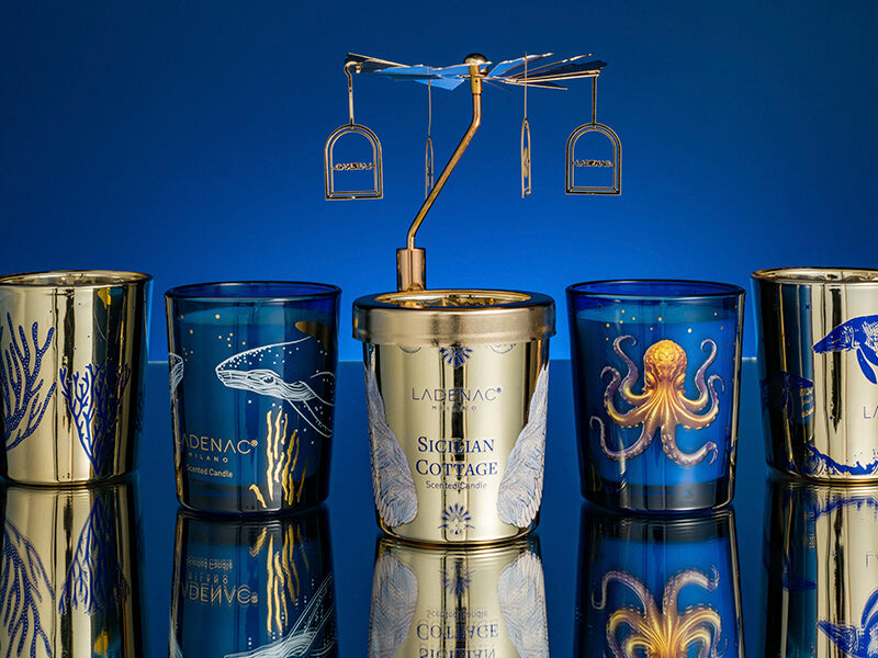 Enchanted Odyssey Gift Set