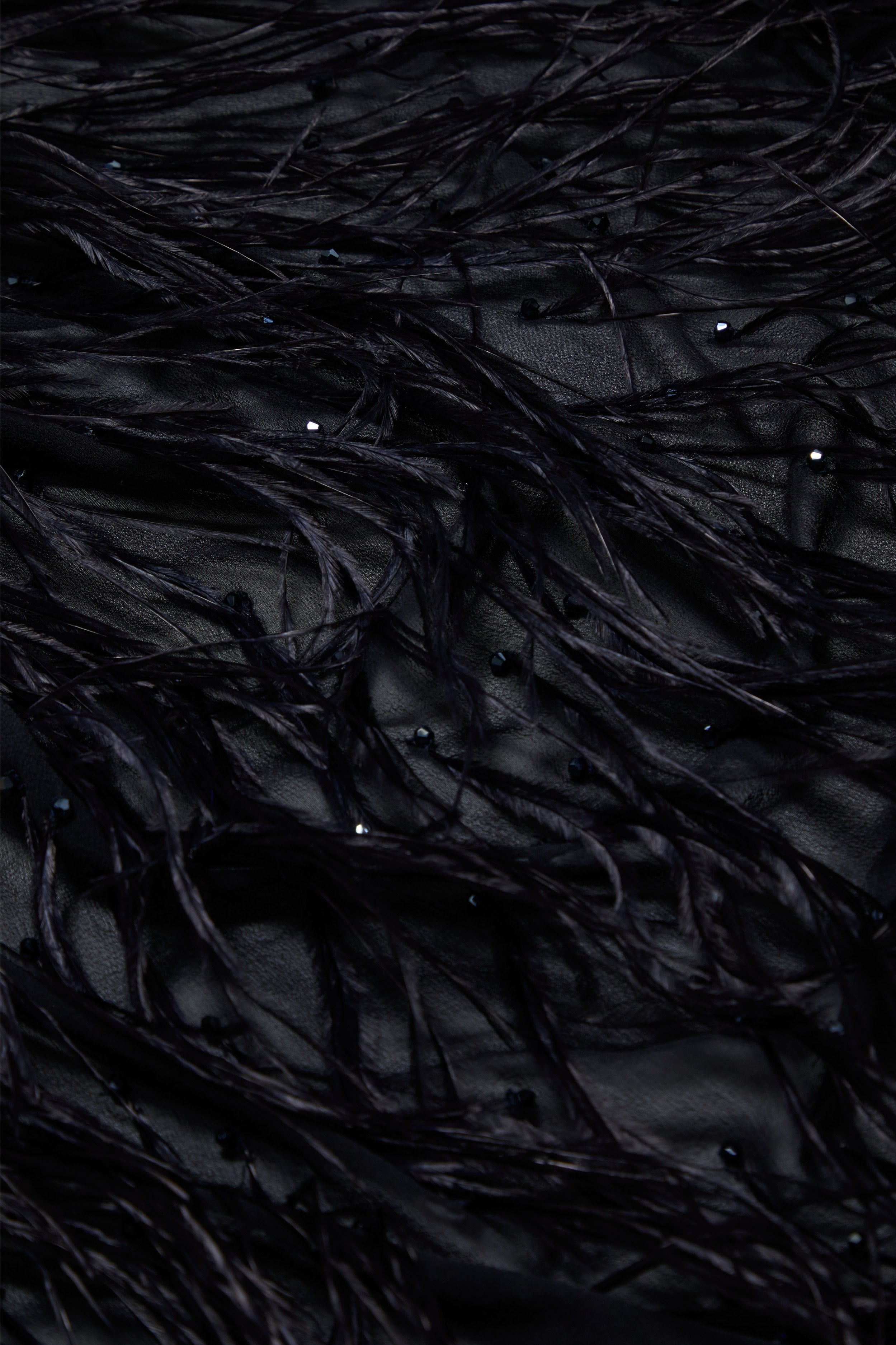 Kitty Feather Embellished Silk Scarf in Navy