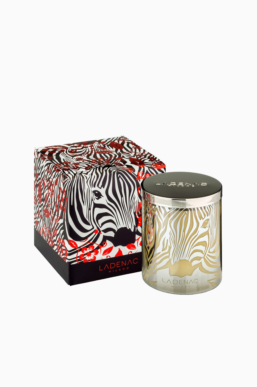 Africa Zebra Candle image 0