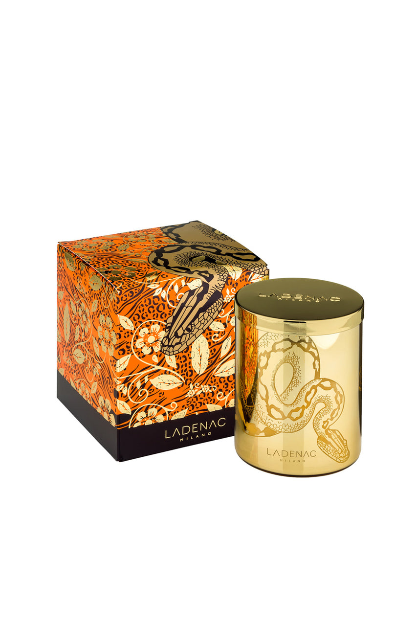 Africa Snake Candle image 0