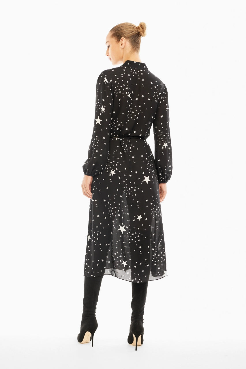 Cici Dress image 2