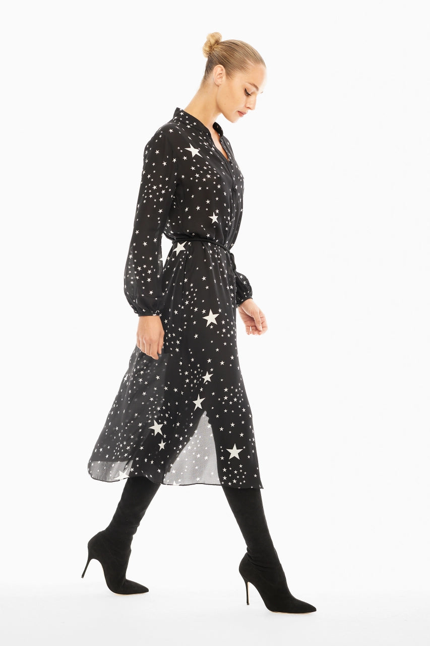 Cici Dress image 1