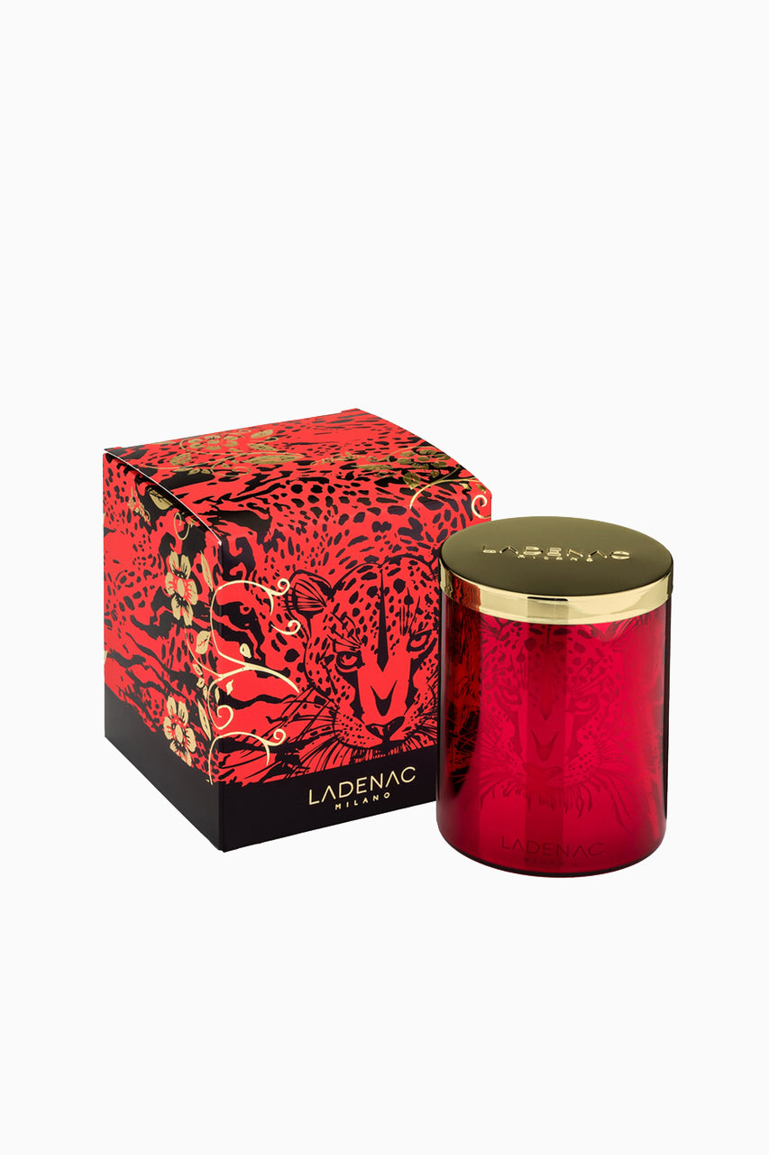 Africa Leopard Candle image 0